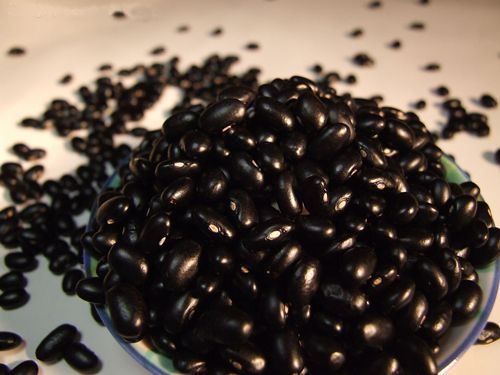 �ڶ��ӻƾ� ������ǿֱ�Լ����� www.027eat.com