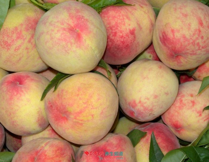 ������ʺϳ������� www.027eat.com