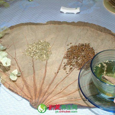 �����Ӻ�Ҷ�蹦Ч www.027eat.com