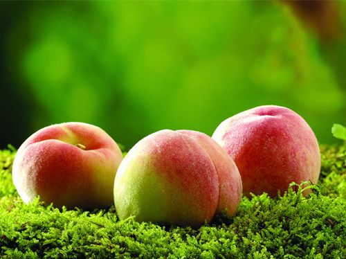 ��������ɿ� ��ô�и��ܳ�����ô www.027eat.com