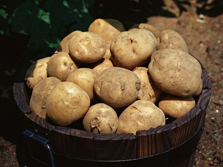 ��������ʳ�ô���� ��Ѫѹ���з� www.027eat.com