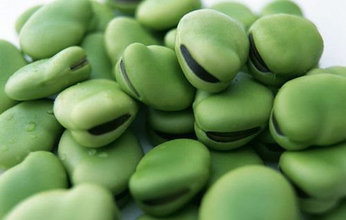 ʳ�ò϶�Ҫע��ʲô �϶���ʳ�ý��� www.027eat.com