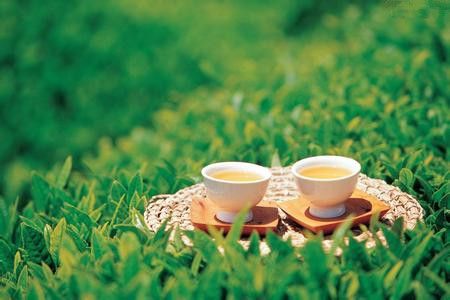 �̲�Ĺ�Ч  �����̲������ www.027eat.com