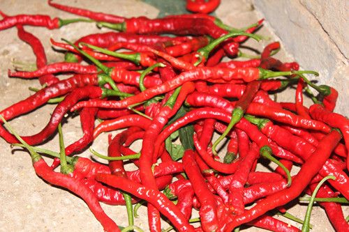 ��������9��δ֪���������� www.027eat.com