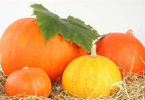 Ϻ�����ּҳ���ζ���� www.027eat.com