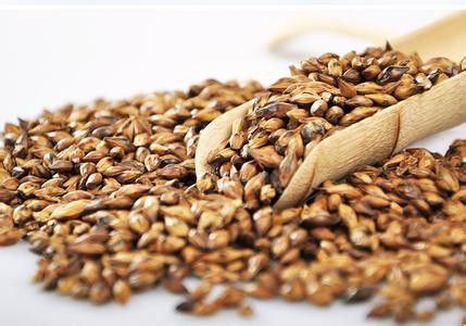 孕妇能吃大麦吗 www.027eat.com