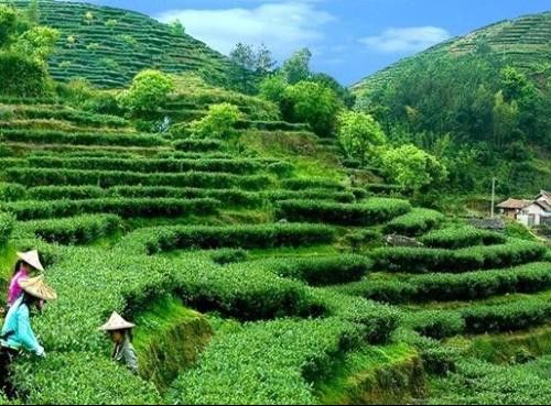 �й����Ļ� �����̲��Ļ� www.027eat.com