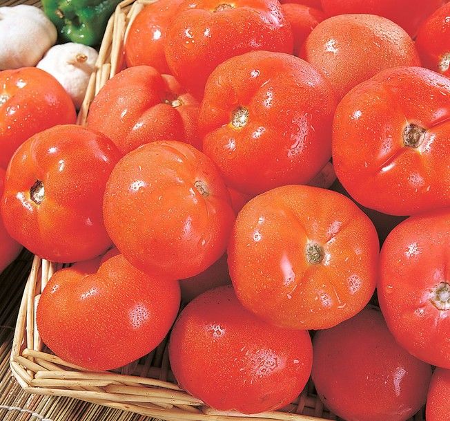 3�н�����ѡ������ www.027eat.com