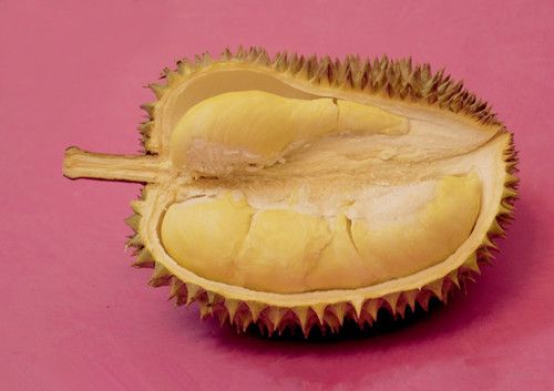 Ů�˳�����������ı����洦 www.027eat.com