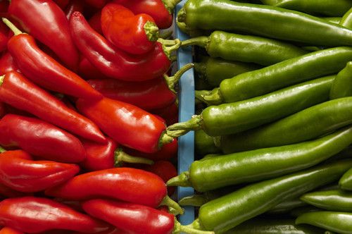 �������� ������ǧ������ www.027eat.com