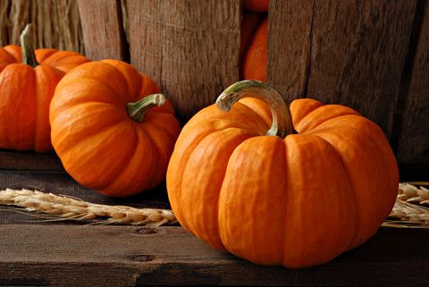 �Ϲϵ�Ӫ����ֵ �Ϲϵ�ҩ�ü�ֵ www.027eat.com