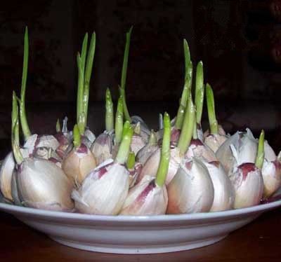 ���ⷢѿ�ܳ��� www.027eat.com