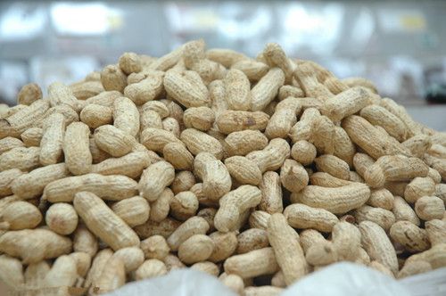 �＾�Ի���ůθ�ֿ�˥   ������Ӫ����ֵ www.027eat.com