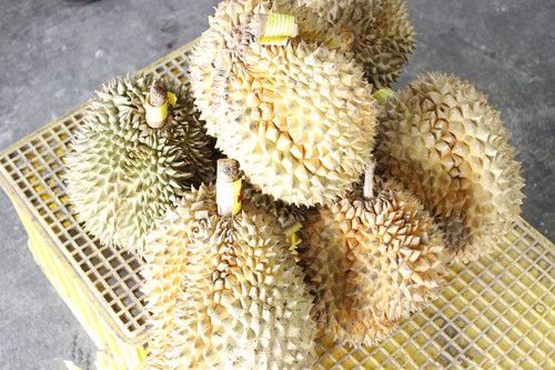 榴莲的功效和禁忌 www.027eat.com