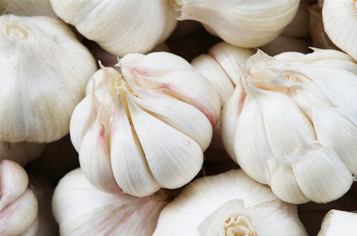 ����˴�����Ľ�����Ч www.027eat.com