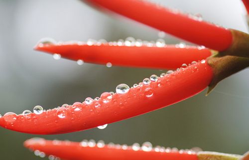 ��������ô��  ����С���������� www.027eat.com