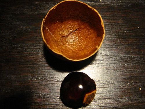 ��Բ����ˮ�Ĺ�Ч����������Щ www.027eat.com