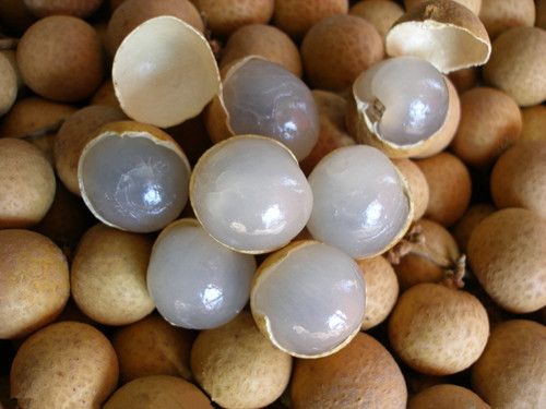 ��Բ�⺬�кܷḻ��Ӫ����ֵ www.027eat.com