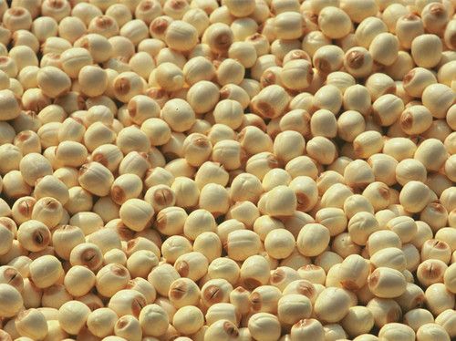 ������ʳ ������ô�Բź� www.027eat.com