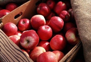 �ո���ƻ������ www.027eat.com