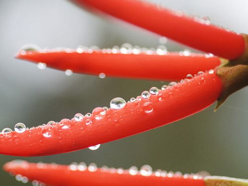 ��������Ӧ��Ⱥ 9���˲��˳����� www.027eat.com