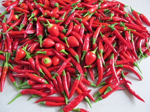 С������Ч�� ������6��ô� www.027eat.com