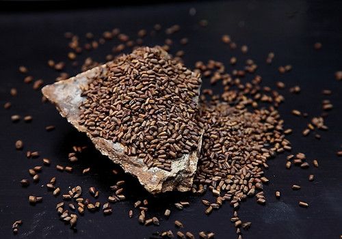 ר�ҽ����ʶ���&ldquo;������&rdquo; www.027eat.com