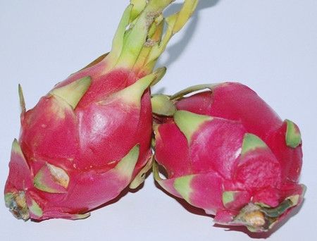 �������ǽ������ www.027eat.com