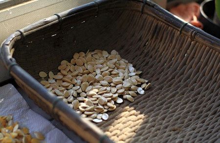 �Ϲ��ӵ�ҩ�ü�ֵ www.027eat.com