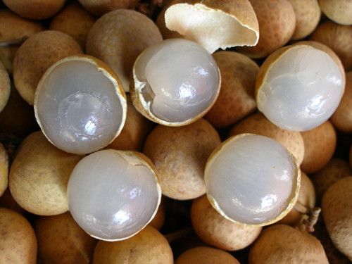 ��Ƣ����  ��Բ9��ʳ�Ʒ� www.027eat.com