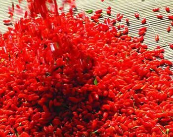 �ƾ��������ʲô���ã� www.027eat.com