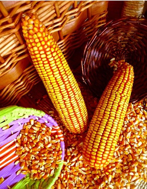 ���׵Ĺ�Ч�����ü�ʳ�÷��� www.027eat.com