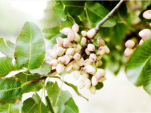 ���Ĺ�������� ��ô����Ÿ����� www.027eat.com