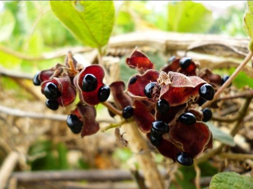 �����ѡ�ڶ� �ڶ�����ѡ���� www.027eat.com