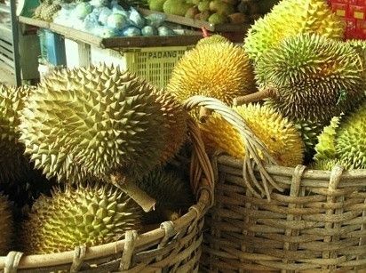 榴莲是什么样的一种水果 www.027eat.com