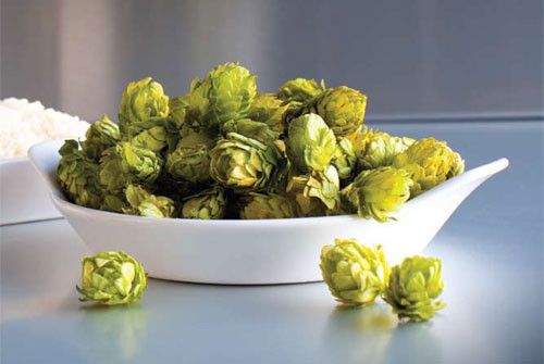 大麦芽回奶有效吗 大麦芽功效 www.027eat.com