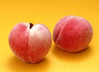 �и����Գ������� www.027eat.com