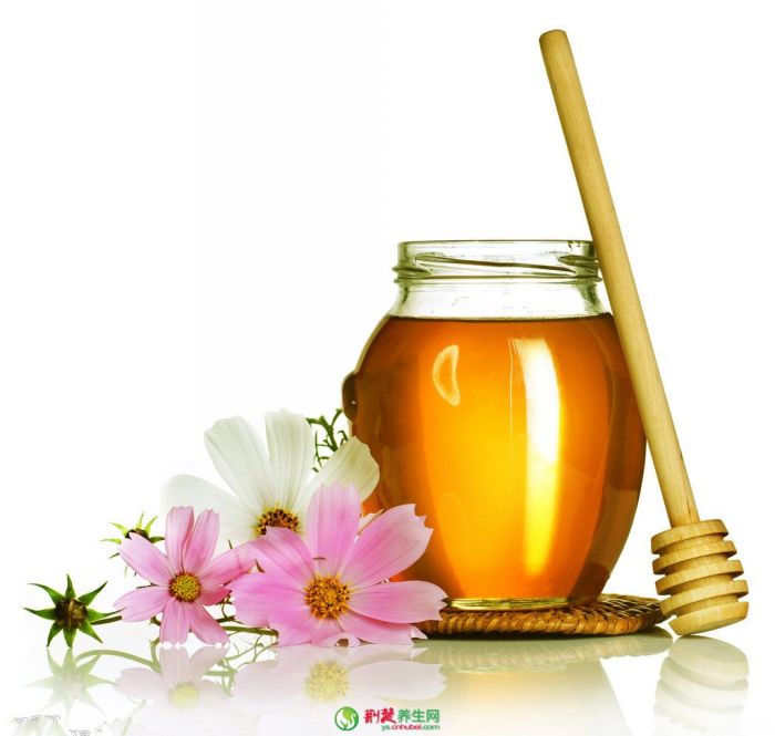 ���۵�ʳ�Ƽ�ֵ www.027eat.com