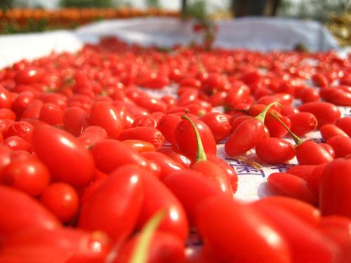 ��轲����Ч����� www.027eat.com