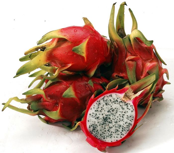 �ΰ����߿��ԳԻ������� www.027eat.com