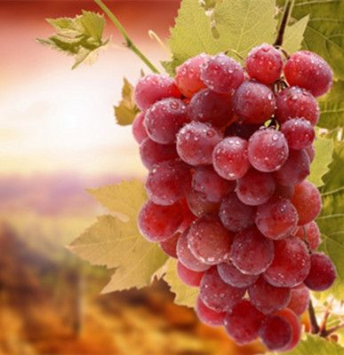 �����ѵĺô��뻵�� �������׿����Լ��� www.027eat.com