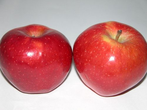 ƻ��ʳ�Ʒ���ƻ������ಹ�齡Ƣ���� www.027eat.com