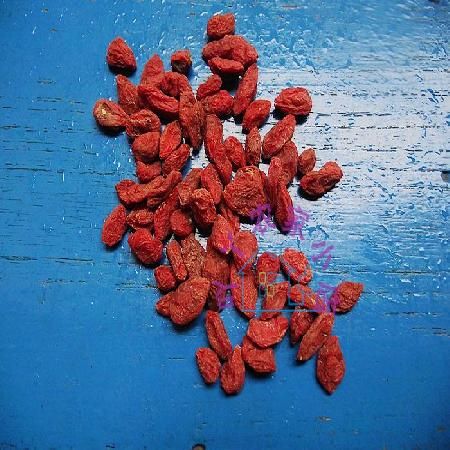 ��������������� www.027eat.com