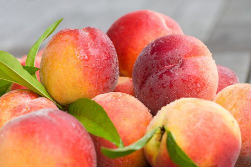 ����ʳ�ù�������� ���ӵĸ���Ӫ����ֵ www.027eat.com