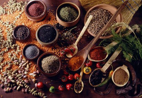 ��֥��Ĺ�Ч������ ��֥�����շ� www.027eat.com