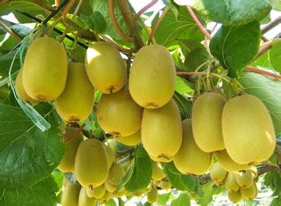 Ƣθ���þ�Ҫ�ٳ�⨺��� www.027eat.com