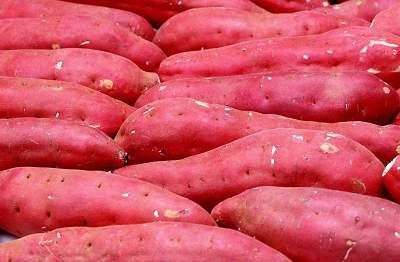 ������Ӫ����ֵ �ߴ������������˽��� www.027eat.com