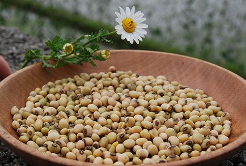 �ƶ���8��Ч  �����Իƽ� www.027eat.com