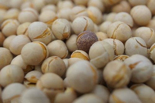 �ƶ���8��Ч  �����Իƽ� www.027eat.com