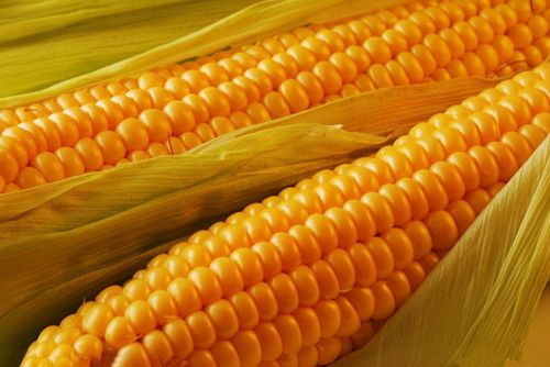 ���׵�Ӫ����ֵ  �����������÷��� www.027eat.com